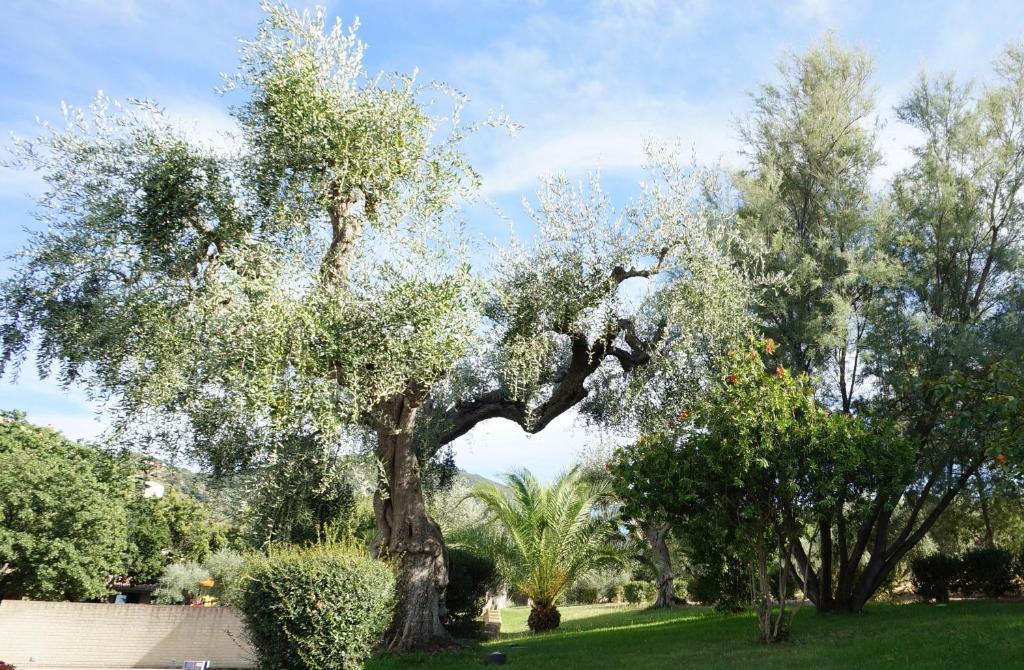Oasimaremma Village Scarlino Bagian luar foto